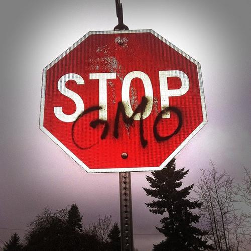ГМО идет в атаку