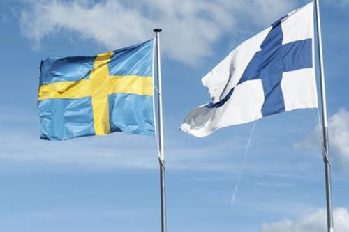 Путь Швеции и Финляндии в НАТО - это безопасность или желание хапка?