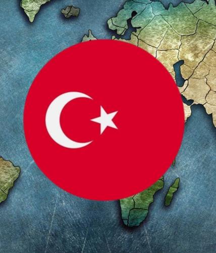 Политолог Владимир Брутер: «Финляндию и Швецию заставят пойти на уступки Турции»