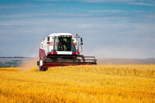 Глава МЭР Решетников: Россия стала крупнейшим экспортёром зерна