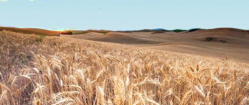 Политолог Надежда Узунова: «Италия значительно зависит от поставок энергоносителей и пшеницы»