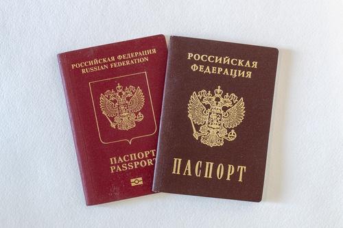 Депутат Госдумы Водолацкий сообщил, что большинство жителей Херсона и Запорожья изъявили желание получить российские паспорта