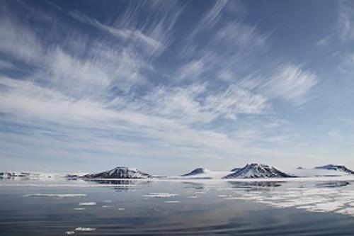 Компания «Роснефть» подвела итоги проекта «Чистая Арктика»