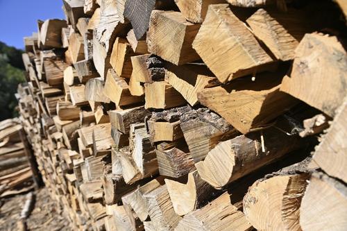 Газета de Volkskrant написала о заметном росте спроса на дрова и дровяные печи в Нидерландах
