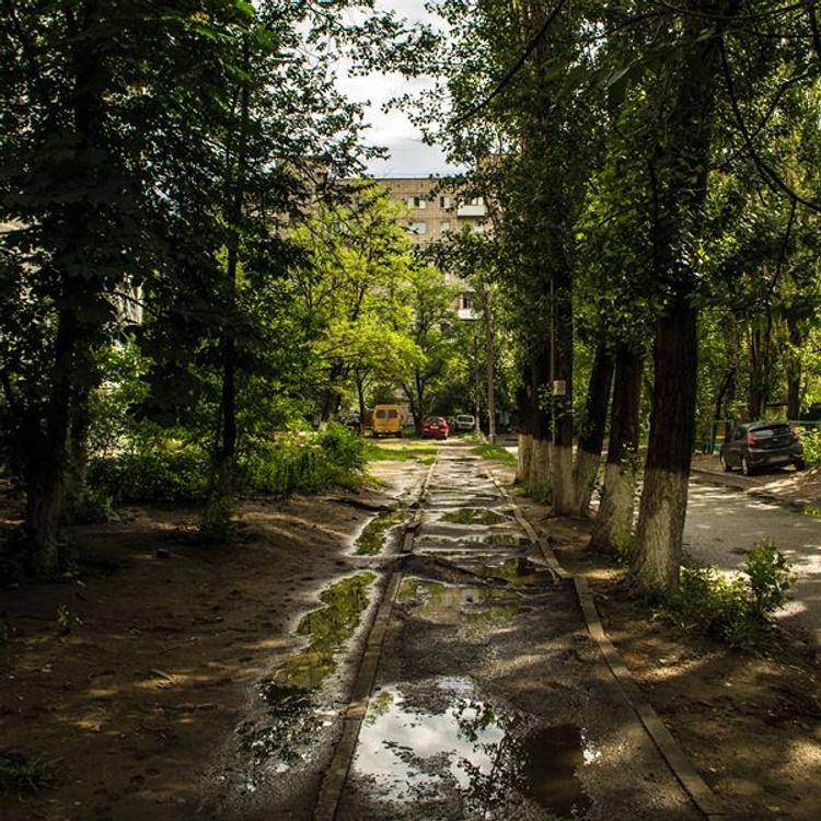 Шанхай местного разлива