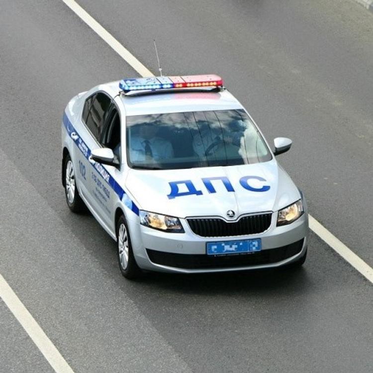 СМИ: в ресторане "Гамбринус" бомбы не нашли
