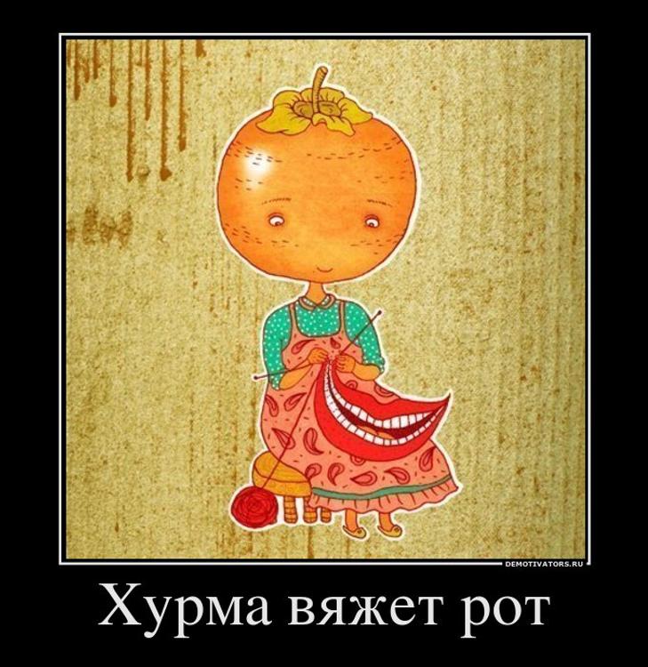 Волонтеры проекта «Хурма» вяжут вещи бездомным