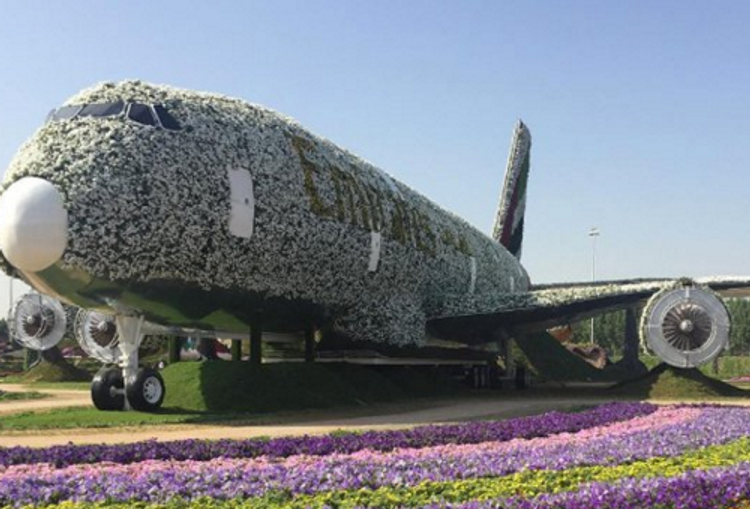 В Дубае построили аэробус из цветов (ФОТО)