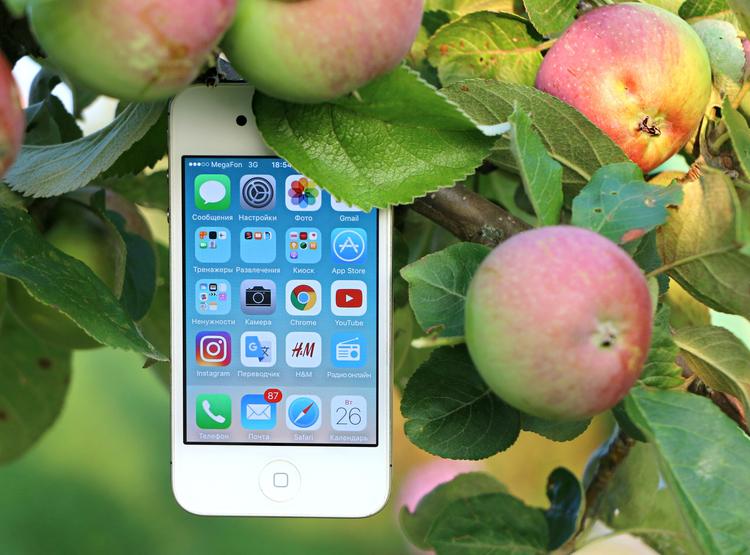 В США супруги подали в суд на Apple после аварии, в которой погибла их дочь
