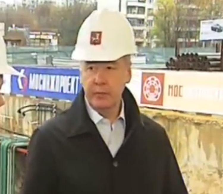Собянин поддерживает идею строить в Москве деревянные дома