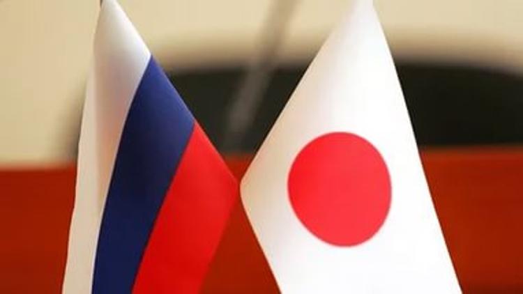 Россия может создать с Японией совместную управляющую компанию на Курилах
