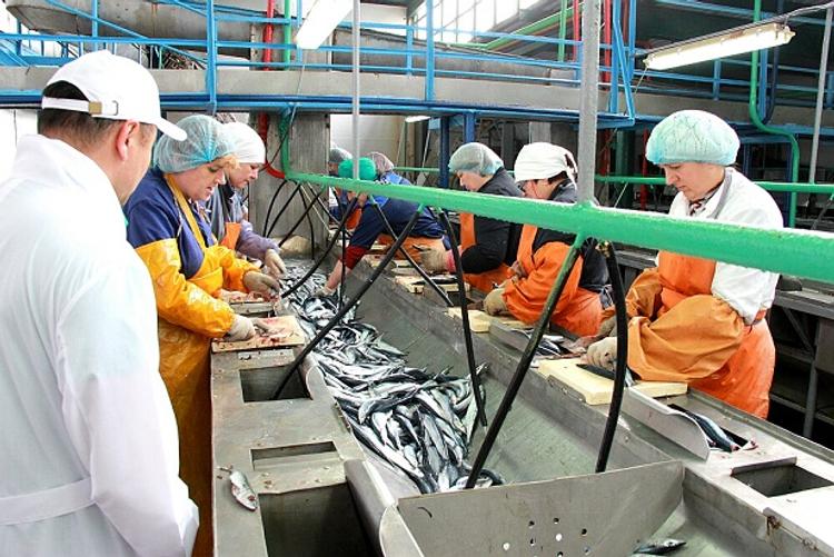 Два новых посёлка и рыбокомбинат появятся в Сахалинской области