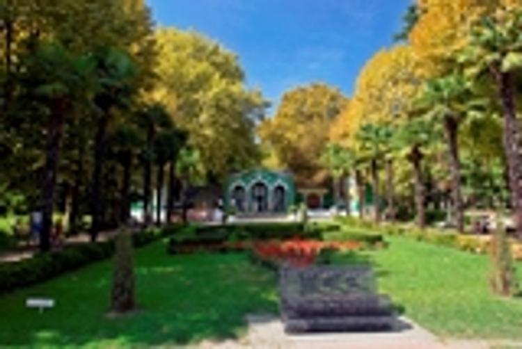 Восстановленный в должности директор нацпарка Сочи собирается выйти на работу