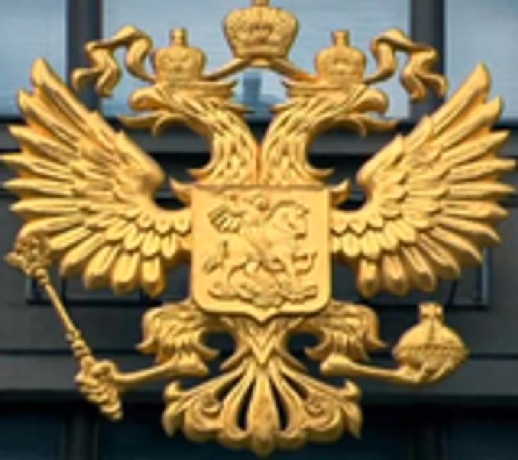 СК: Убийство гендиректора московского океанариума может быть связано с бизнесом