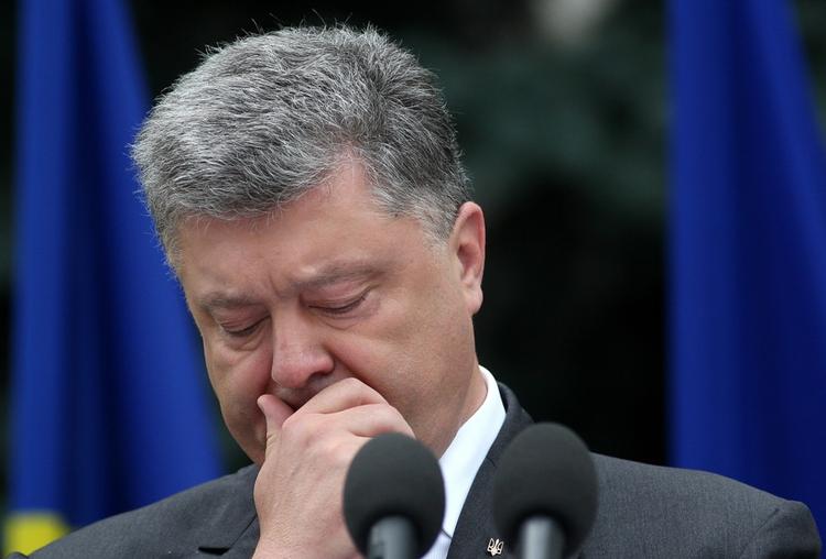 Порошенко высмеяли за полет на МиГ-29