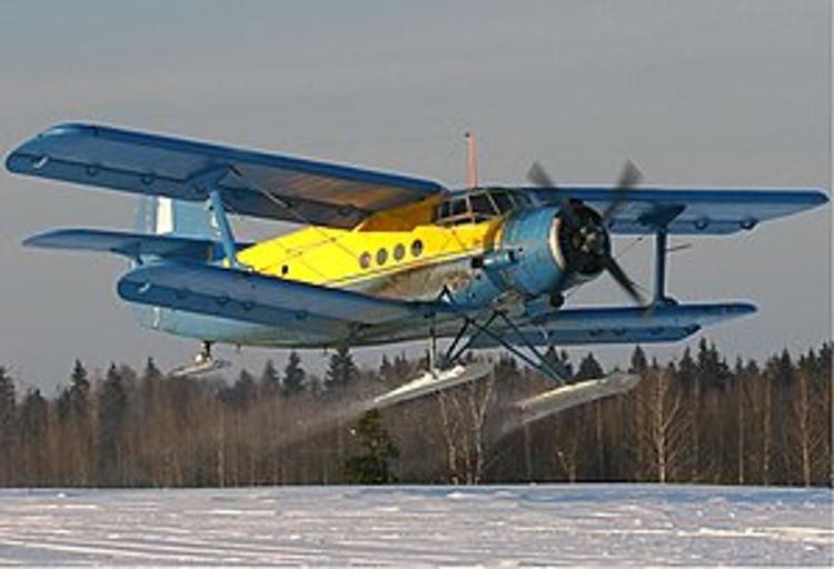 Экипаж потерпевшего крушение Ан-2 в последний момент увел самолет от зрителей