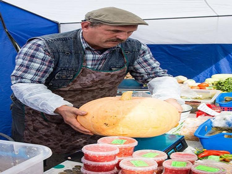 В городе появляются овощные павильоны для дачников