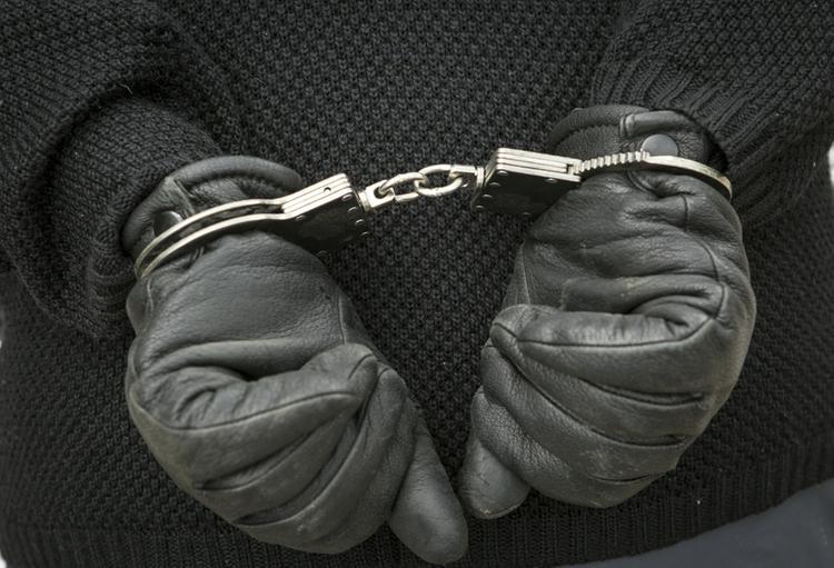 Боевиков ИГ задержали в Подмосковье за подготовку терактов на транспорте