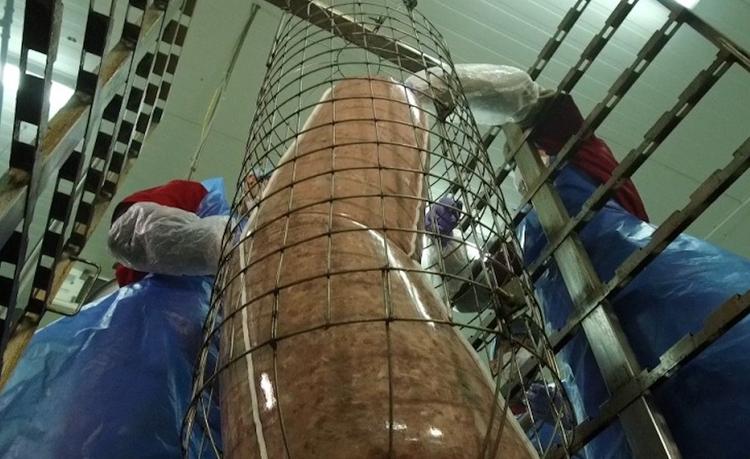 Царь-колбаса «Утолина» прибыла на ВДНХ