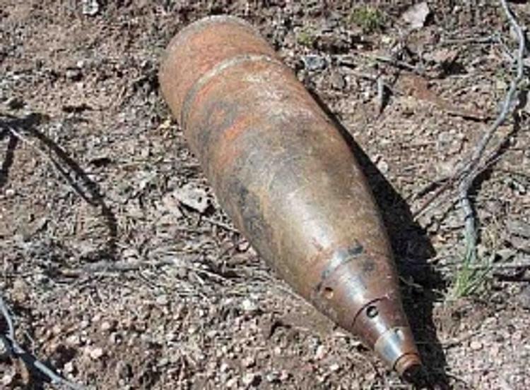 На Южном Урале собака откопала артиллерийский снаряд