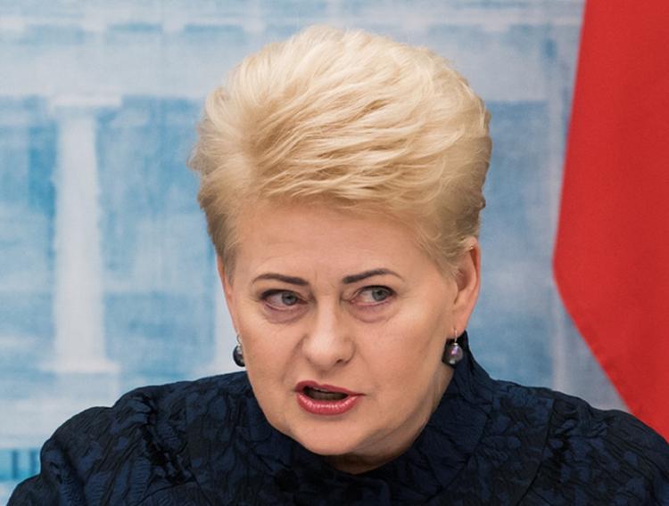 Президент Литвы считает, что с Россией лучше сотрудничать, чем воевать