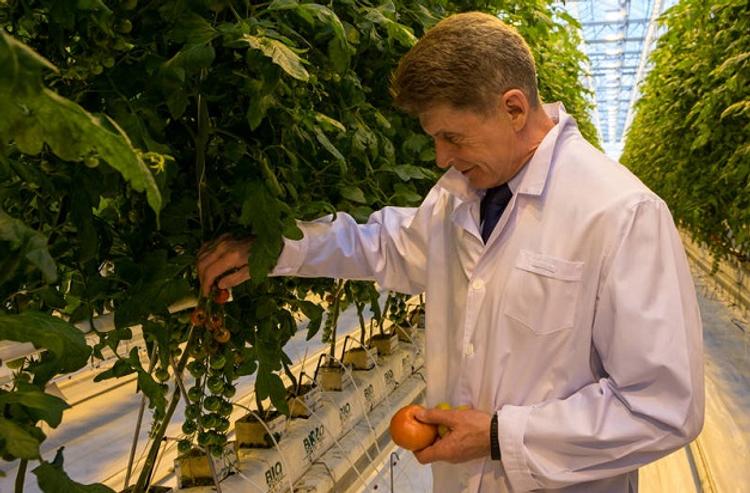 Животноводческий комплекс на Сахалине готовится принять первую партию скота