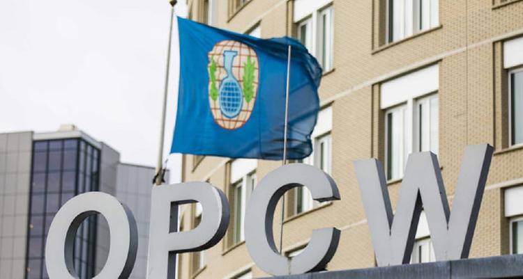 У постпреда России при ОЗХО есть вопросы к докладу по делу Скрипаля