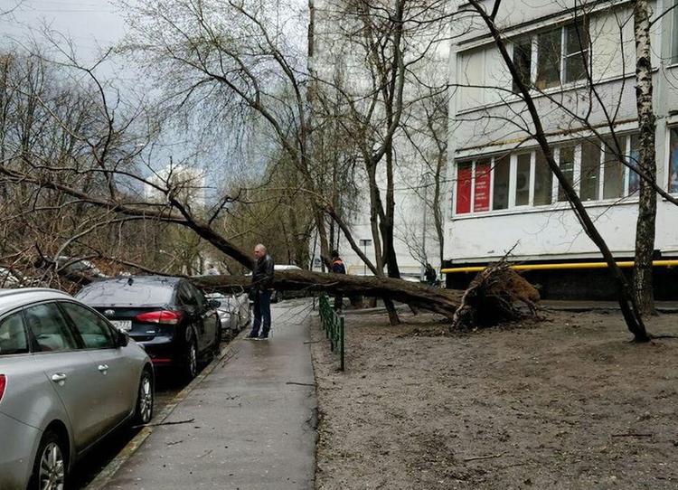 Стало известно, когда из Москвы уйдет ураганный ветер