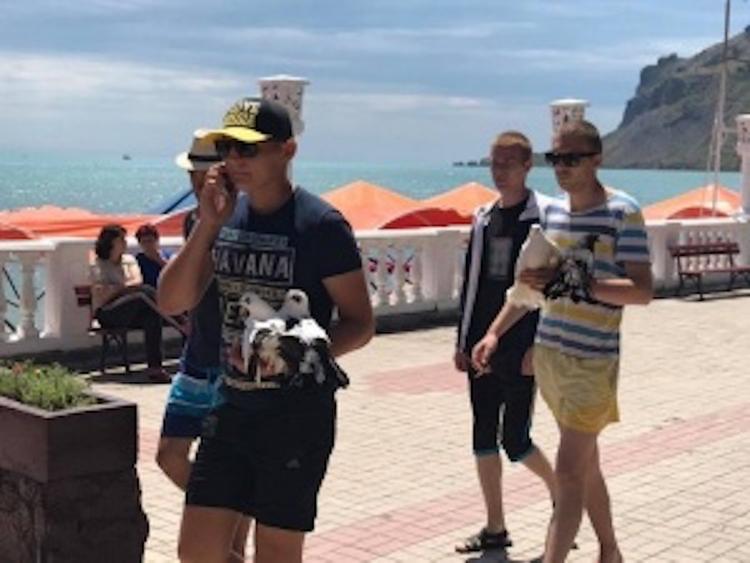В Крыму хотят запретить коммерческое использование животных в местах отдыха
