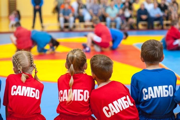 Самбо для ребенка чем полезно. Смотреть фото Самбо для ребенка чем полезно. Смотреть картинку Самбо для ребенка чем полезно. Картинка про Самбо для ребенка чем полезно. Фото Самбо для ребенка чем полезно