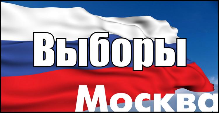 От участия в выборах мэра Москвы сами отказались 26 кандидатов из 33