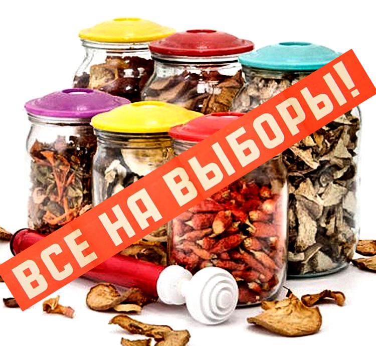 31 миллион бюджетных денег на крышки для консервирования с символикой выборов