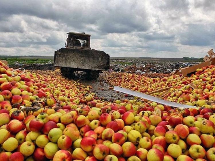 Поляки поняли, что России не нужна их еда