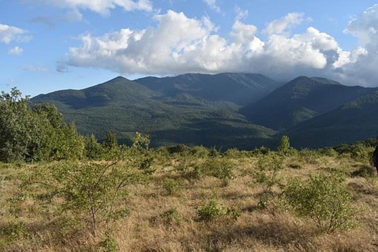 Роспотребнадзор продолжает проверку воздуха в Крыму