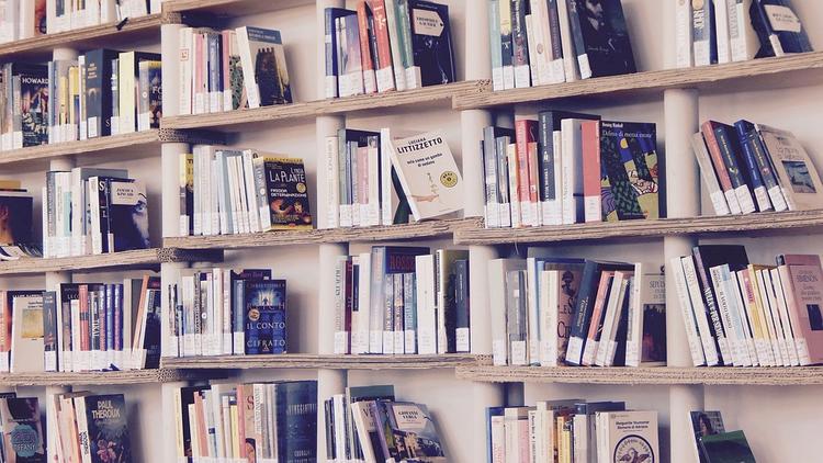 Совфед предложил разработать для школьников правила издания книг