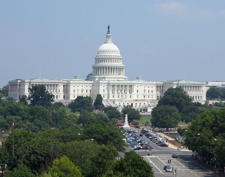 Эксперт оценил предварительные итоги выборов в США