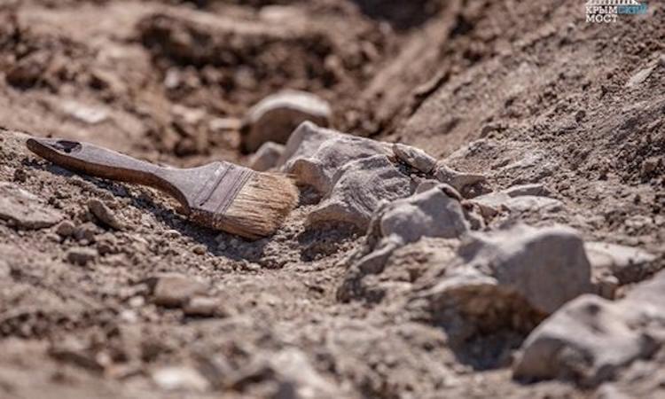 Благодаря крупному строительству в Крыму археологи сделали немало открытий