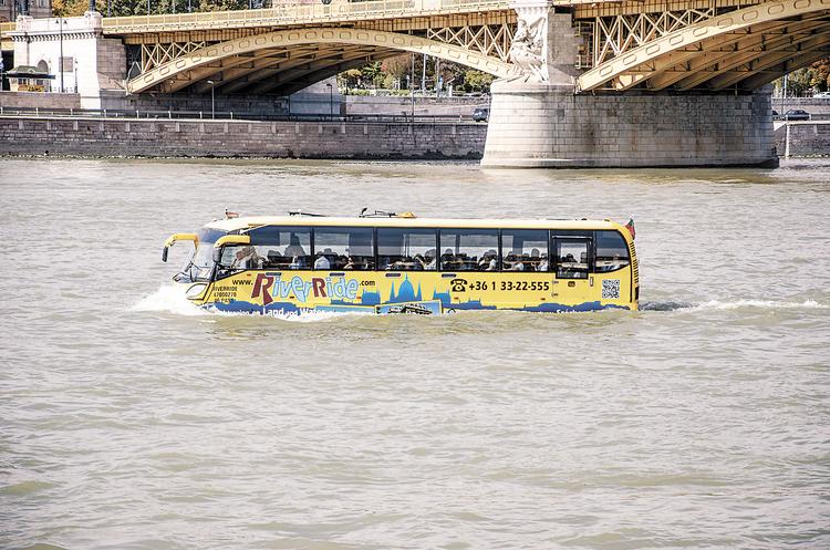 С воды на сушу и обратно