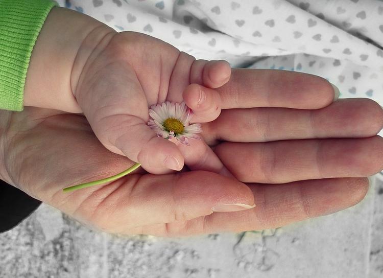 В России могут изменить условия для получения статуса родителя-одиночки