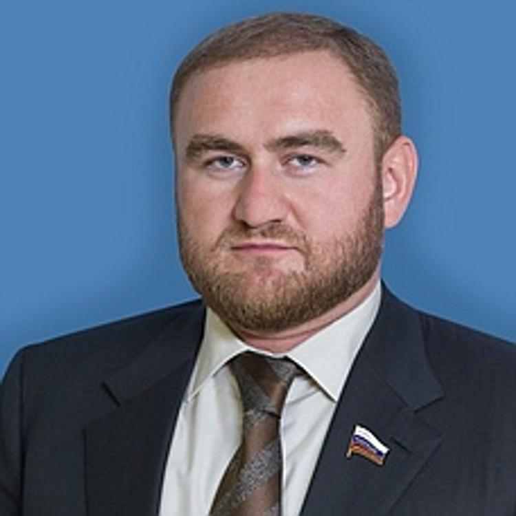 Эксперт прокомментировал политическое значение дела Арашуковых