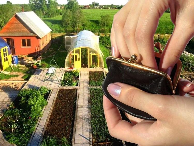 Дачники изучают искусство аэромаскировки