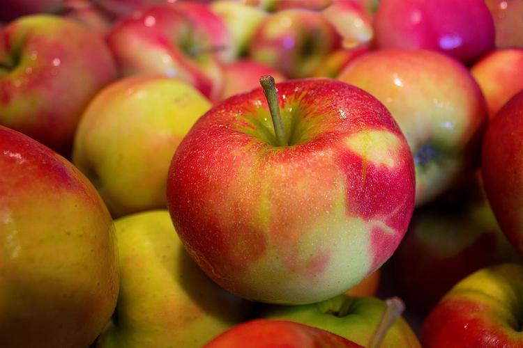 Беларусь прекратила сертификацию санкционных продуктов для поставок в Россию