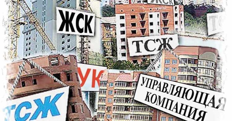 Товарищество жулья