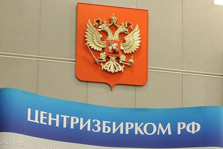 ЦИК РФ: Треть российских партий может исчезнуть к концу 2019 года