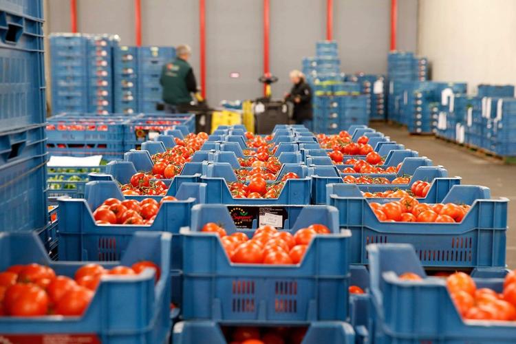 Экспортерам Хабаровского края предоставят льготные кредиты
