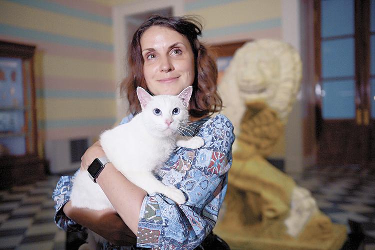 Дворец котов