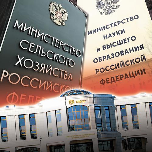 НИИ раздора