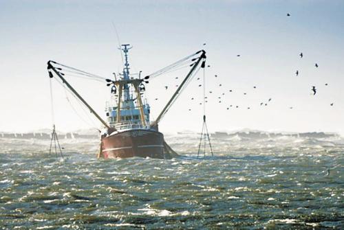 В ближайшие годы произойдет рост добычи морских рыб Каспия