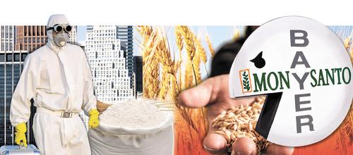 Ввоз в Россию соевой ГМО-продукции без регистрации продлили на год
