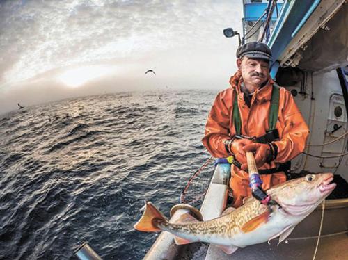 Фарерские острова вывели из-под санкций сотрудничество с Россией в рыбной отрасли